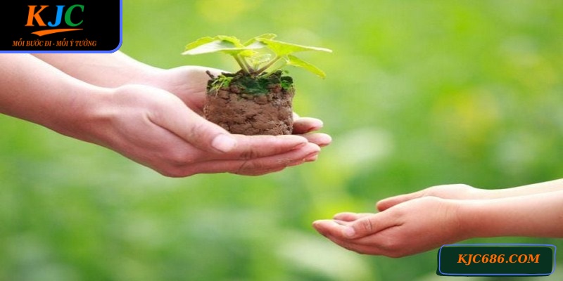 Các chương trình này tạo nên giá trị nhân văn sâu sắc