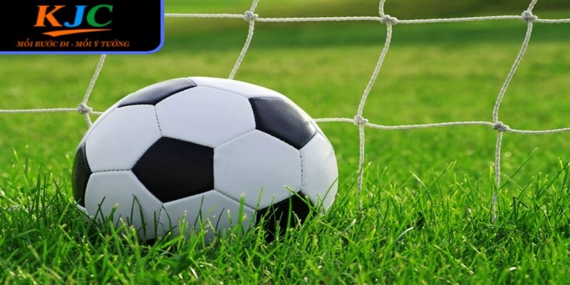 Các sự kiện đã mang đến cơ hội để người hâm mộ kết nối